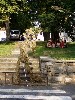 156.jpg
